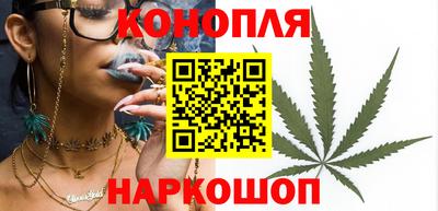 стаф Лесосибирск