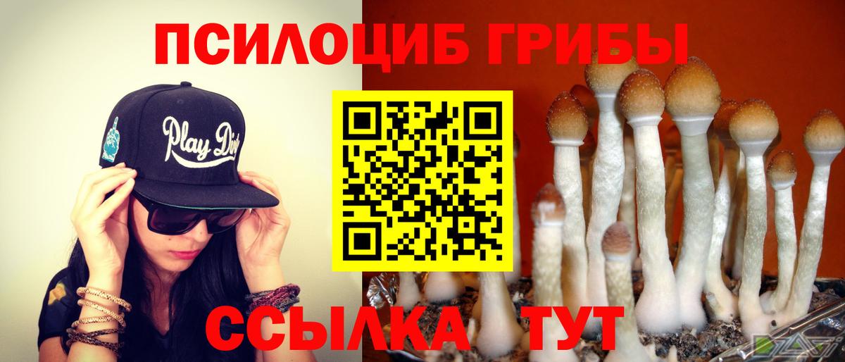 Псилоцибиновые грибы прущие грибы Гагарин