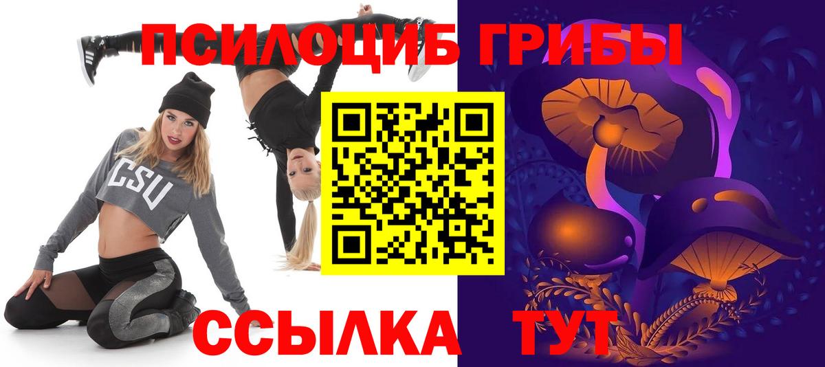 Гагарин  Галлюциногенные грибы MAGIC MUSHROOMS  Вход с VPN 